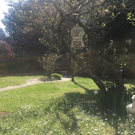 La Pallanzotta Verbania Exterior foto